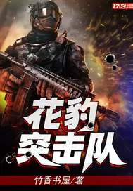 花豹突击队 book cover