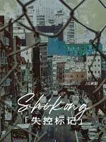 失控标记 小说封面