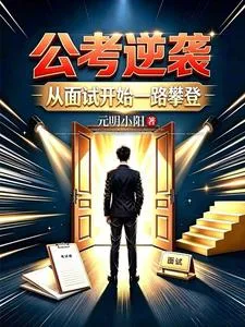 公考逆袭:从面试开始一路攀登 Buchcover