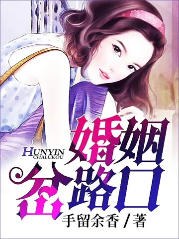 婚姻岔路口 小说封面