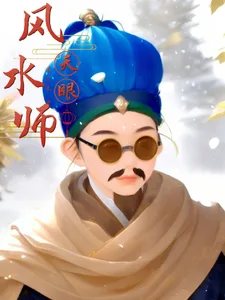 天眼风水师 book cover