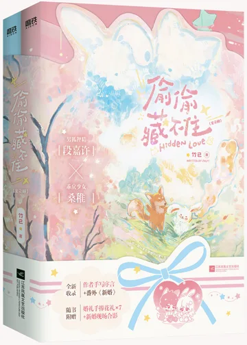 偷偷藏不住 book cover