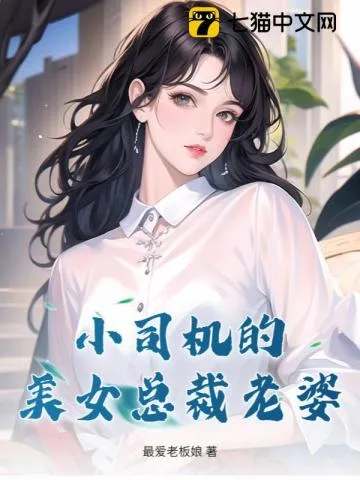 小司机的美女总裁老婆 Buchcover