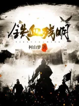 铁血残明 Buchcover