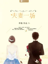 夫妻一场 小说封面