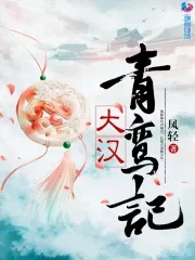 大汉青鸾记 Buchcover
