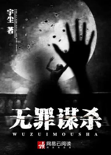 无罪谋杀 book cover