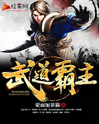 武道霸主 book cover