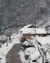 桐柏山梦 book cover