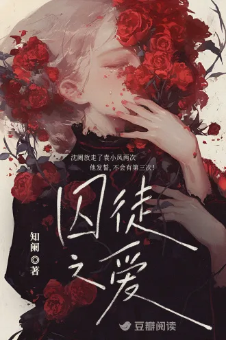 囚徒之爱 Buchcover