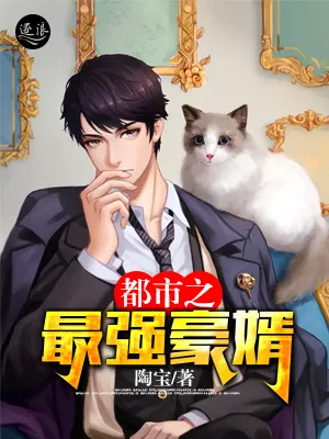 都市之最强豪婿 Buchcover