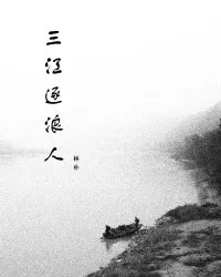 三江逐浪人 book cover