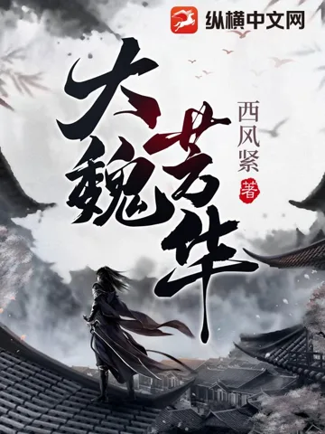 大魏芳华 Buchcover