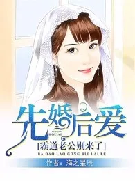先婚后爱:霸道老公别来了 小说封面