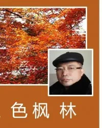 血色枫林 book cover