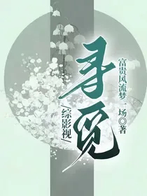 综影视寻觅 book cover