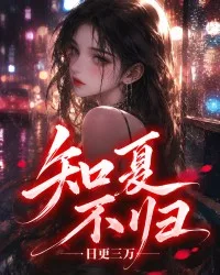 知夏不归 小说封面