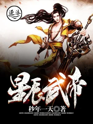 星辰武帝 小说封面