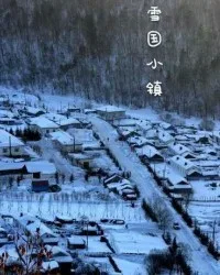 雪国小镇 book cover