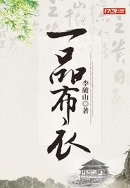 一品布衣 小说封面