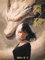 龙藏 小说封面