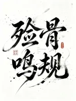 殓骨鸣规 Buchcover