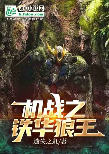 机战之铁华狼王 小说封面