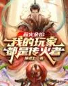 薪火余烬:我的玩家都是传火者 Buchcover