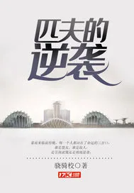 匹夫的逆袭 小说封面