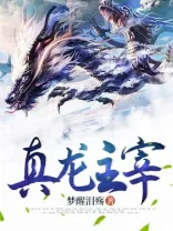 真龙主宰 book cover