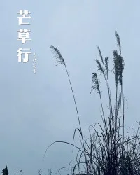 芒草行 book cover
