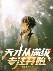 天才从满级专注开始 Buchcover