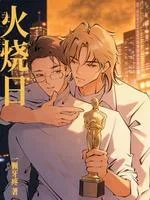 火烧日 Buchcover