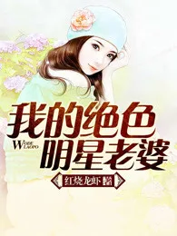我的绝色明星老婆 Buchcover