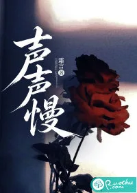 声声慢 book cover