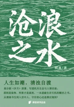 沧浪之水 小说封面