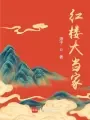 红楼大当家 book cover