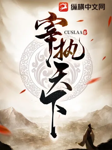 宰执天下 小说封面