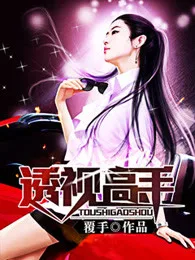 透视高手 Buchcover