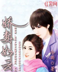 娇妻如云 book cover