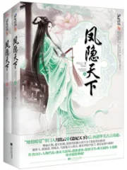 凤隐天下 book cover