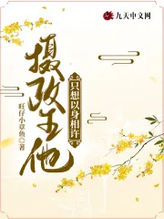 摄政王他只想以身相许 Buchcover