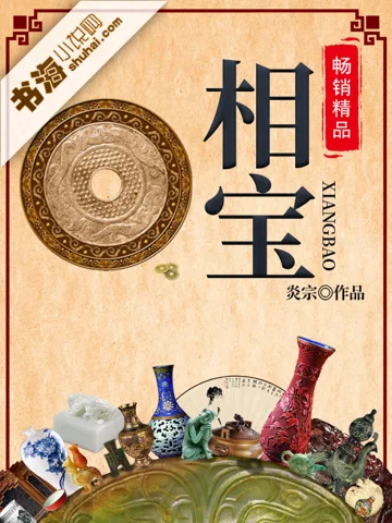 相宝 book cover
