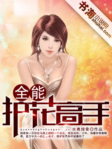 全能护花高手 book cover