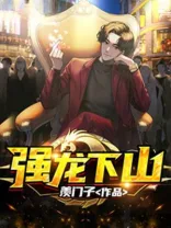 强龙下山 book cover