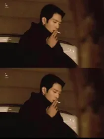 综影视:我不想做炮灰女配 小说封面