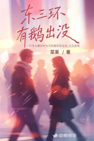 东三环有鹅出没 小说封面