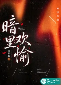 暗里欢愉 小说封面