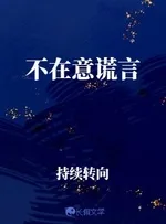 不在意谎言 book cover
