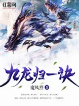九龙归一诀 小说封面